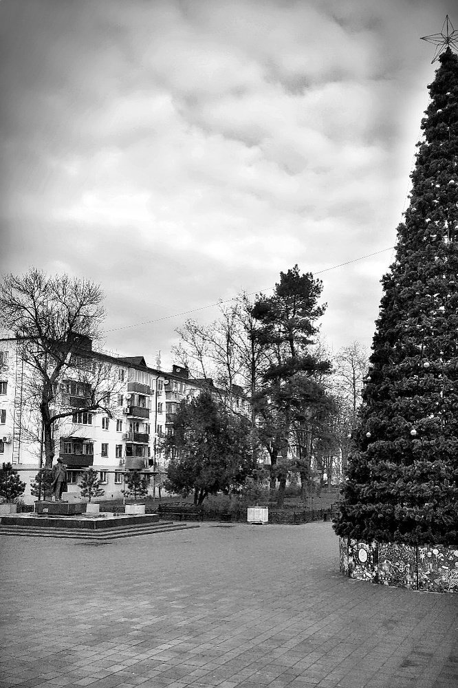 Декабрьское утро