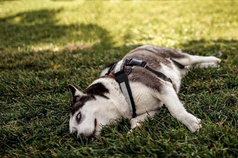 Photograph by  Nika & Ramin