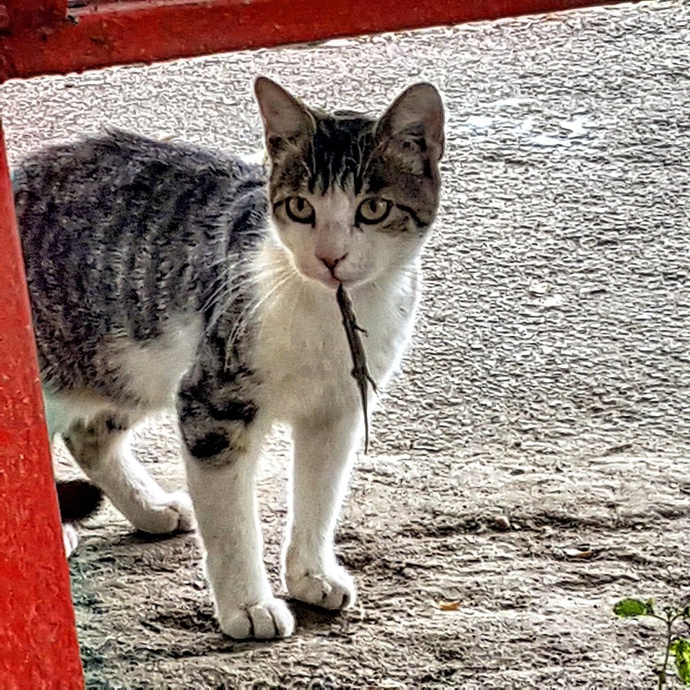 Photograph by Давид Нагапетьян