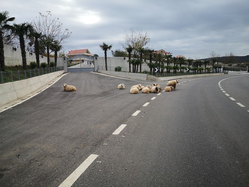 Photograph by Sajmir Laçej