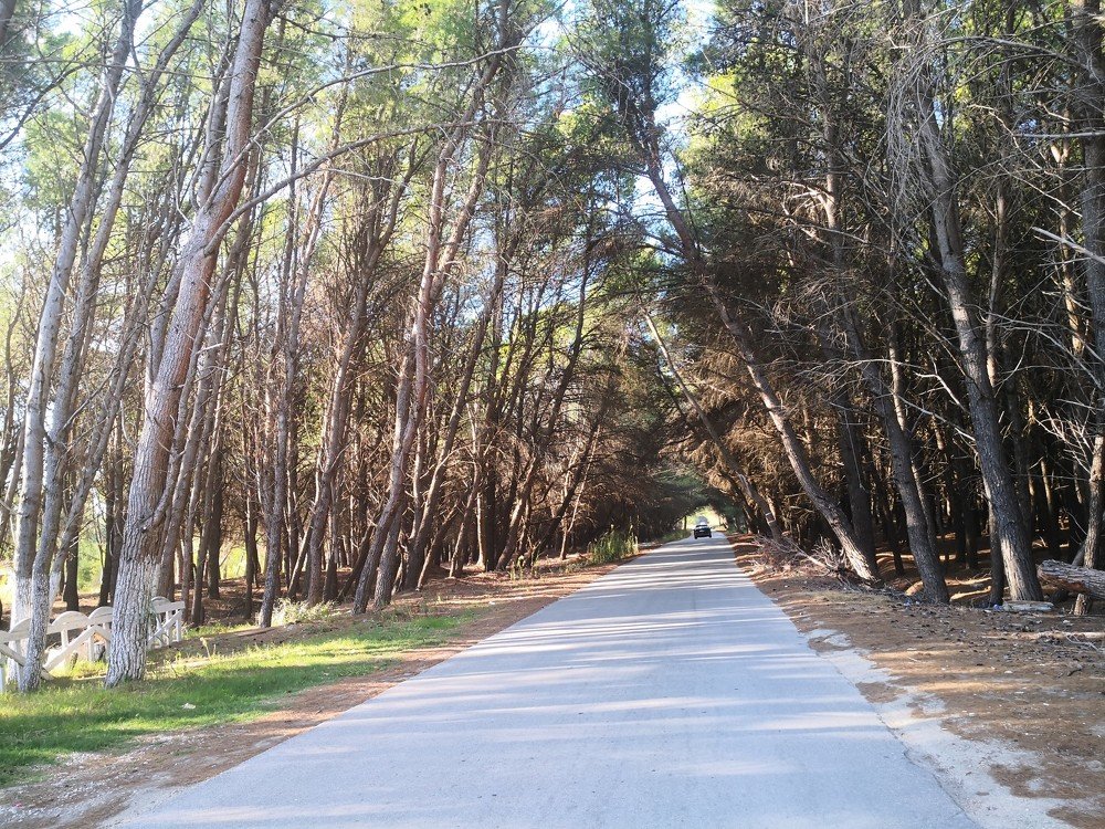 Photograph by Sajmir Laçej