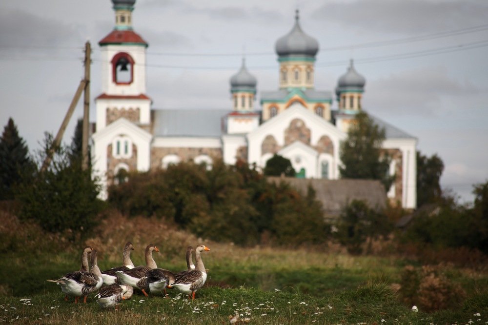 Photograph by Наталья Саксонова