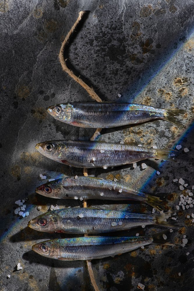 Photograph by Riccardo Moretti