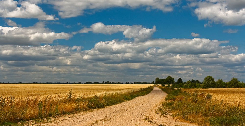 Photograph by Евгений Козлов