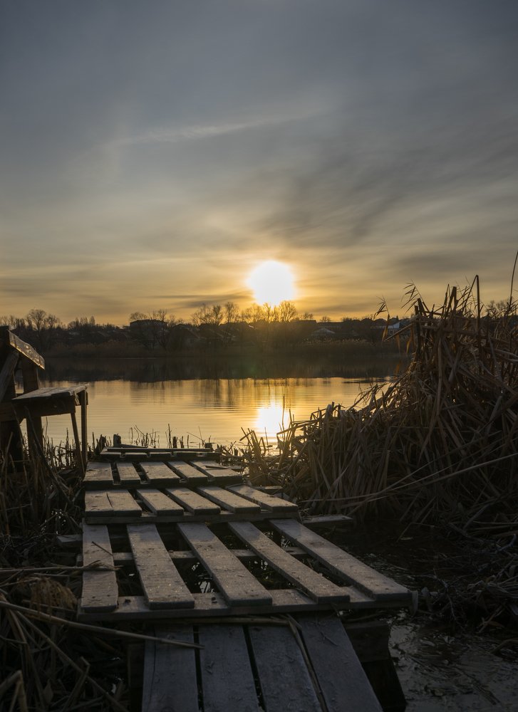 Утро на пруду