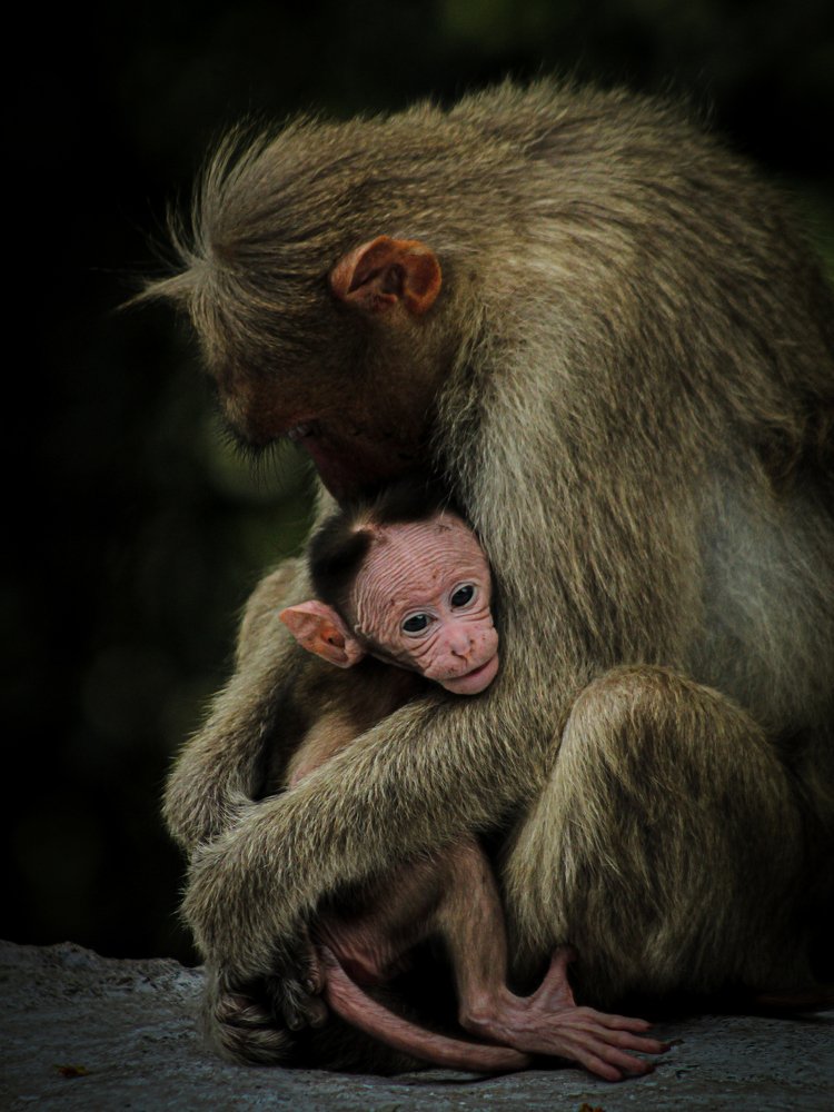 Photograph by Jayakrishna Jayakrishna