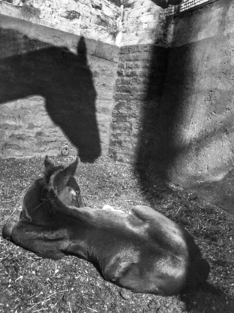 Photograph by Abbas Mohamadi