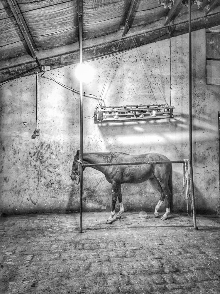 Photograph by Abbas Mohamadi