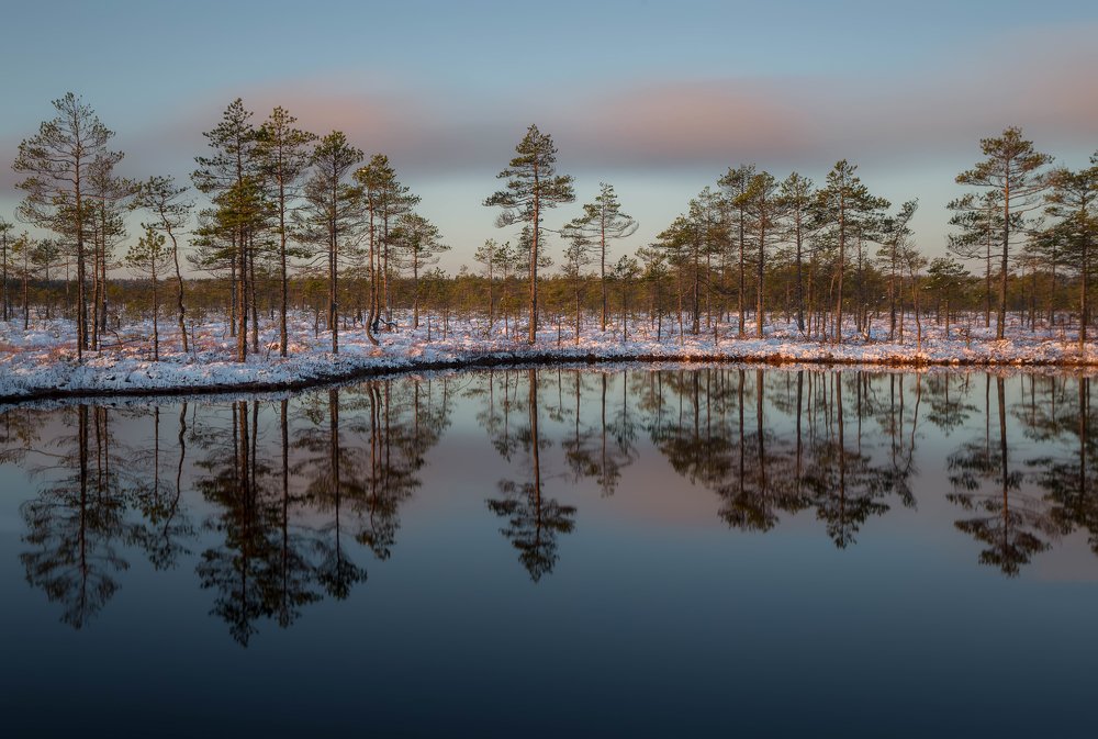 Photograph by Pavel Vaschenkov
