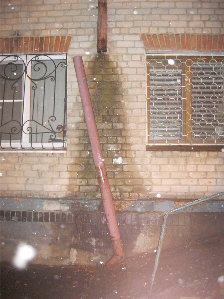 Photo #4037622