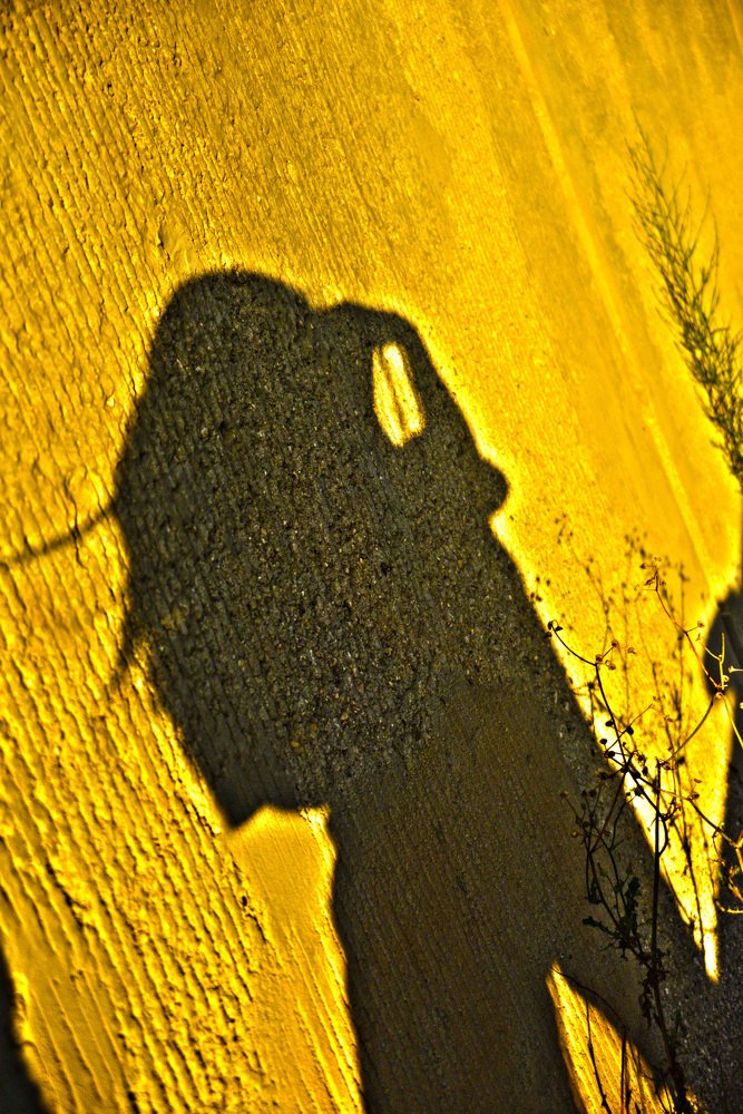 Photograph by Alexandra Mitakidis