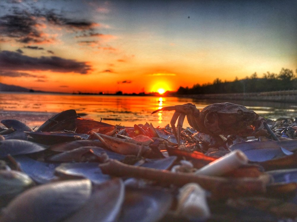 Photograph by Rustem Dehkanov