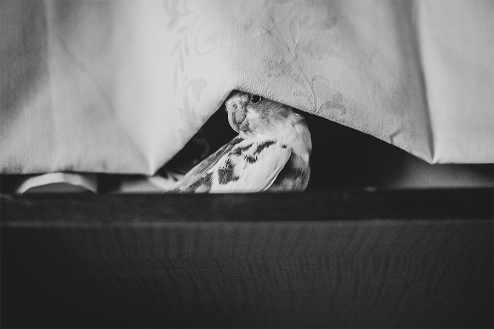 Photograph by Mirela B.