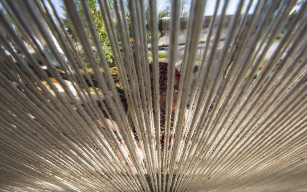 Photograph by Burcu Başyiğit