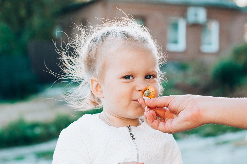 Photograph by Анна Евдокимова