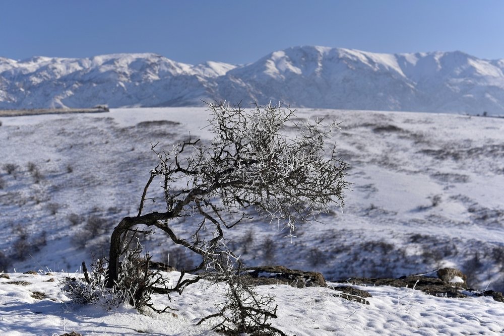 Небесные горы