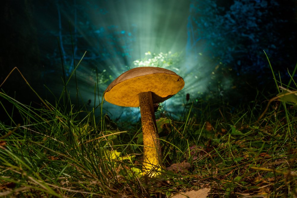 Photograph by Александр Моисеев