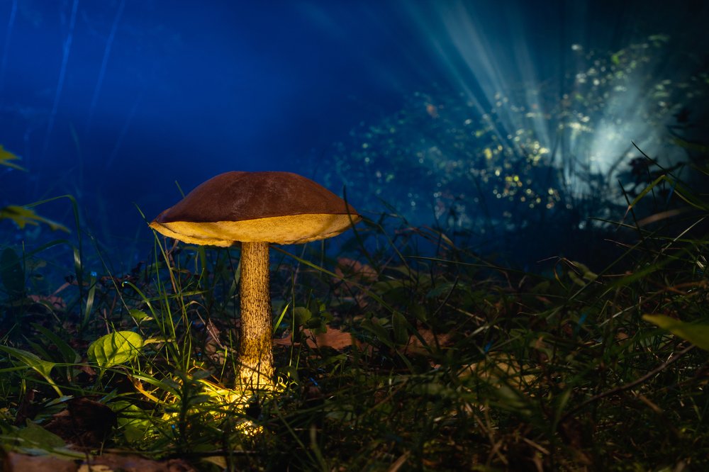 Photograph by Александр Моисеев