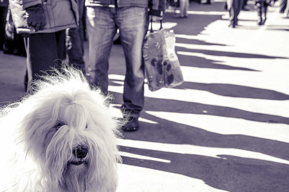 Photograph by Ирина Юркова