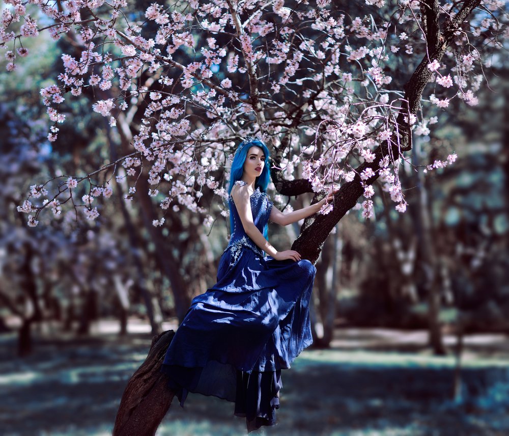 Photograph by iria castro