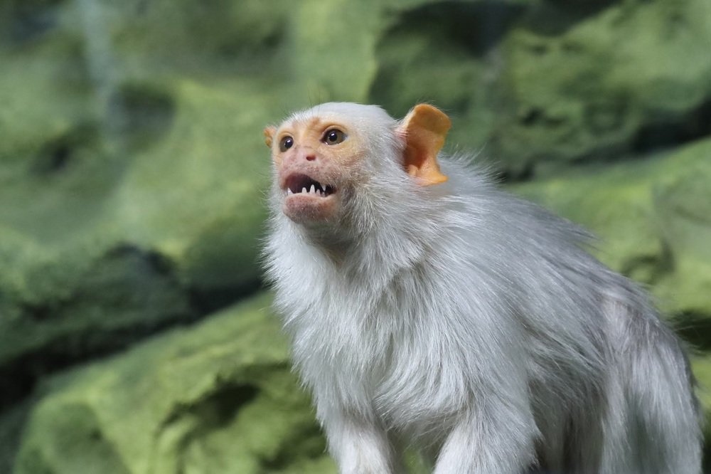 Рассердился