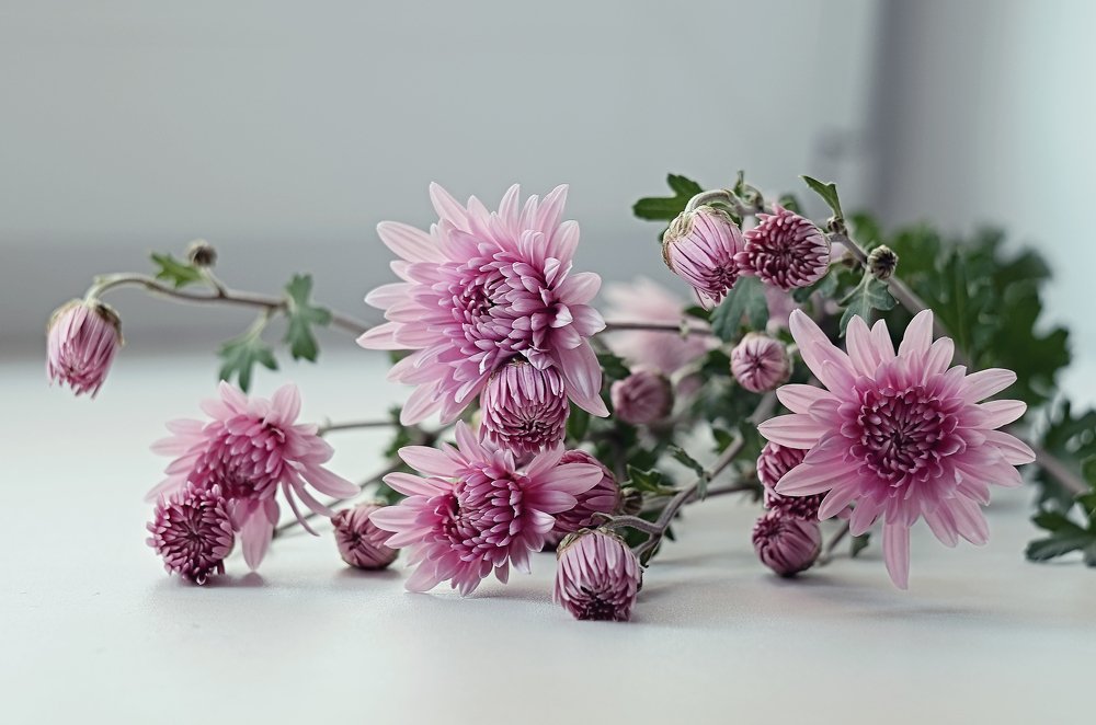 Photograph by Аликина Татьяна