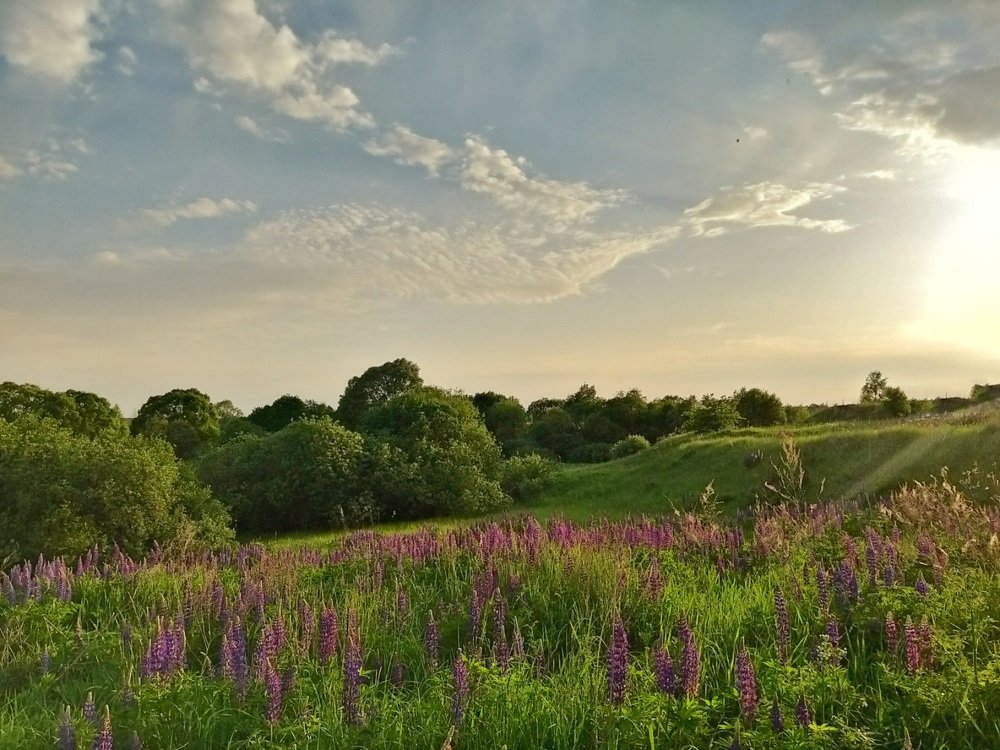 Photograph by Марина Сорокина