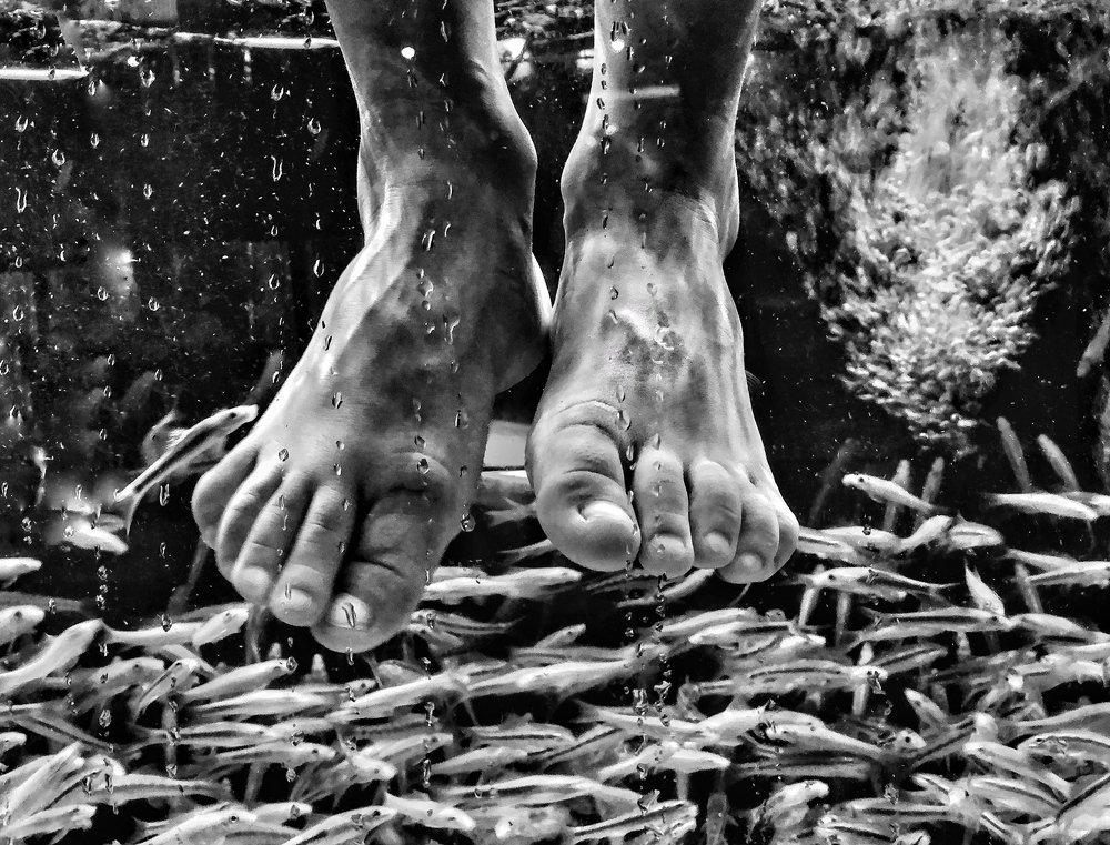 Photograph by Iacopo Alessandro Pedde