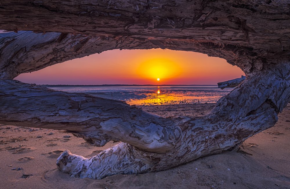 Photograph by wendy klein