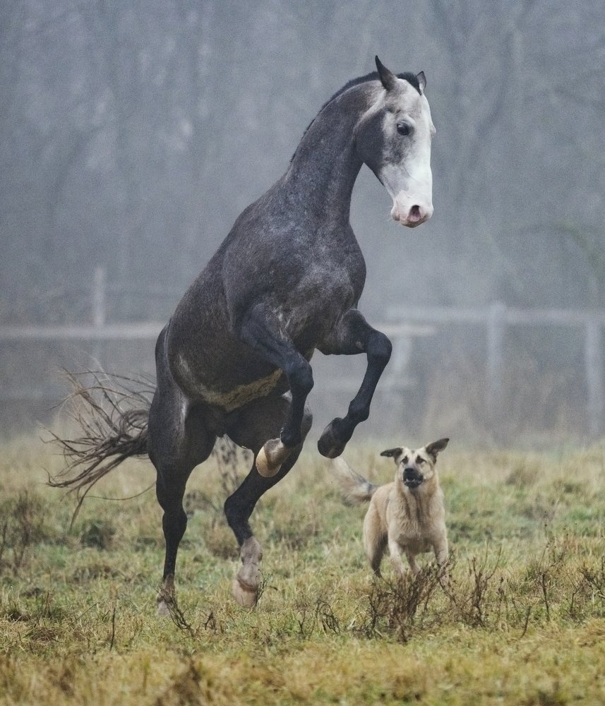 Photograph by Юлия Дудкова