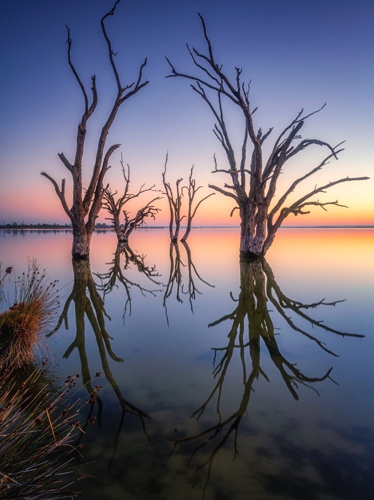 Photograph by wendy klein