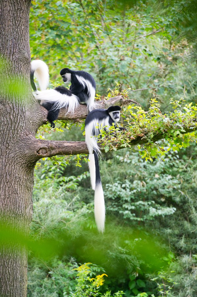 Photograph by Наталья Спиридонова