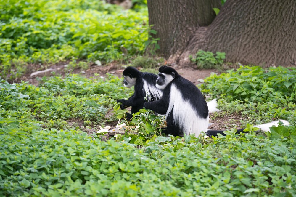 Photograph by Наталья Спиридонова