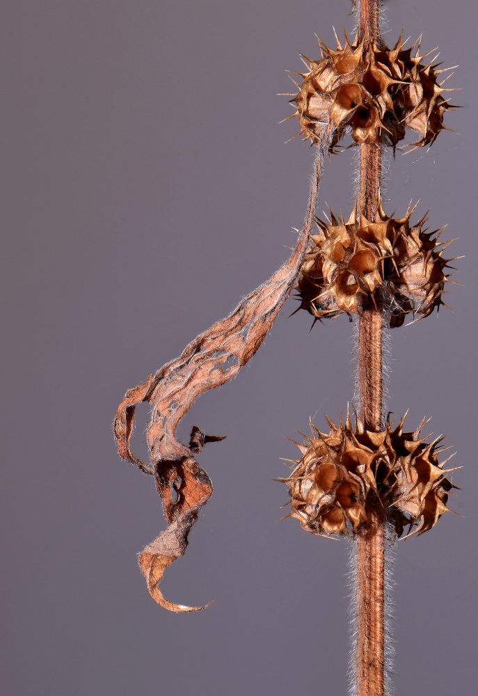 Photograph by Юлия Старкова