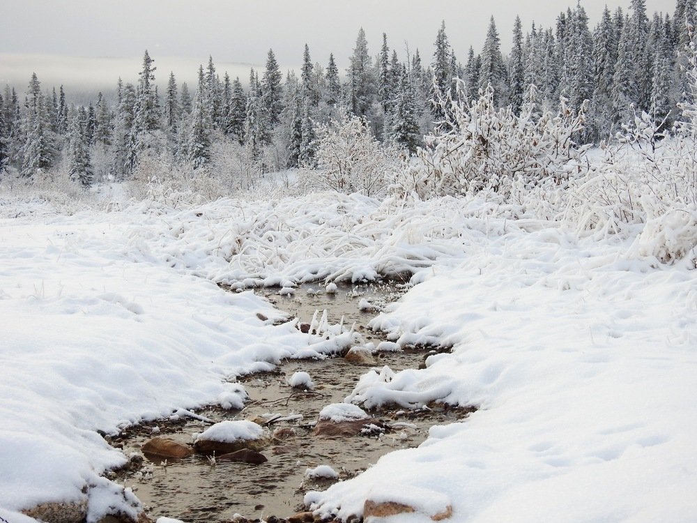 Streams with snow