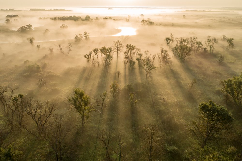 Photograph by Барабанов Алексей