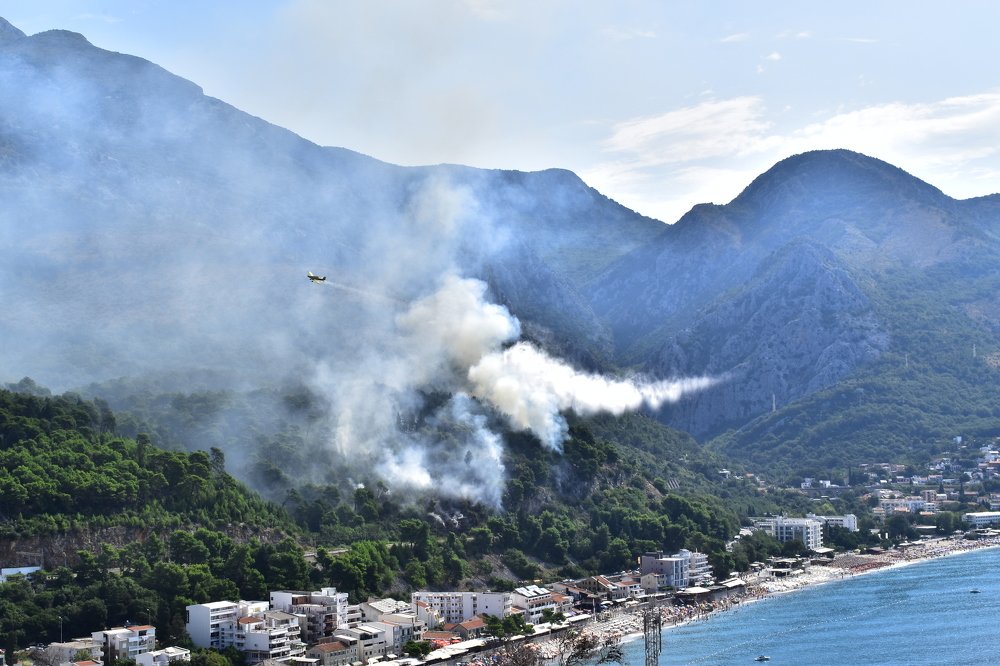 Photograph by Сергей Садчиков