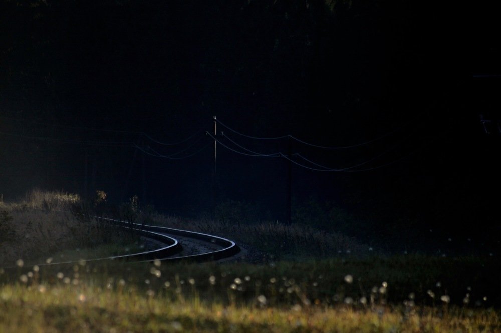 Photograph by Наталья Саксонова