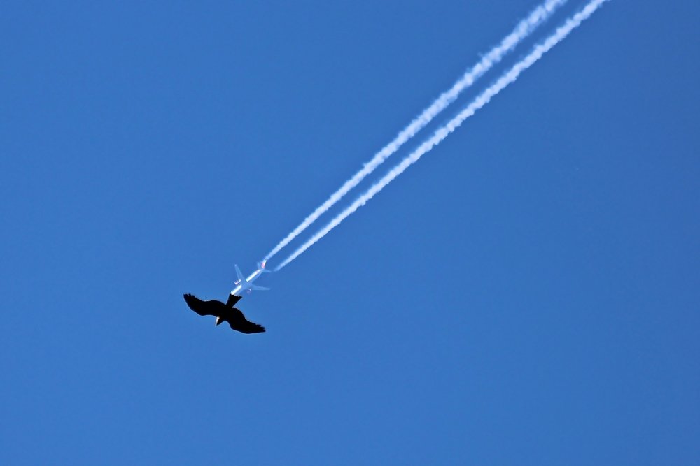 Photograph by Александр Велигура