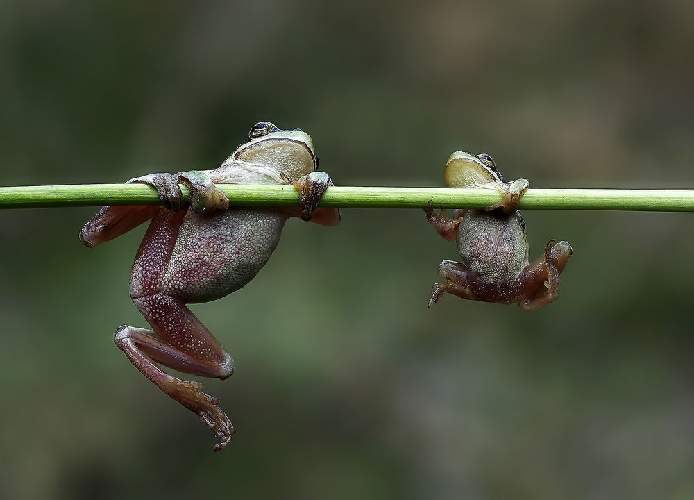 Photograph by Savas Sener