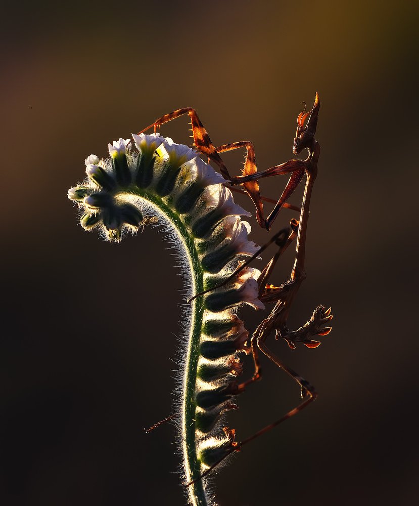 Photograph by Savas Sener