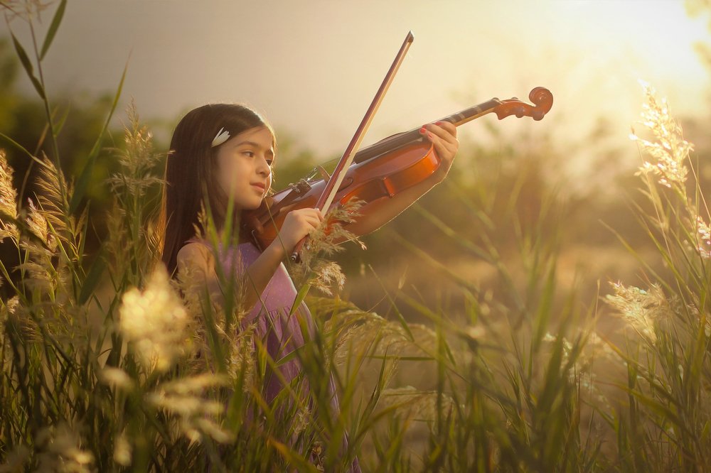 Photograph by mohsen mikaeili