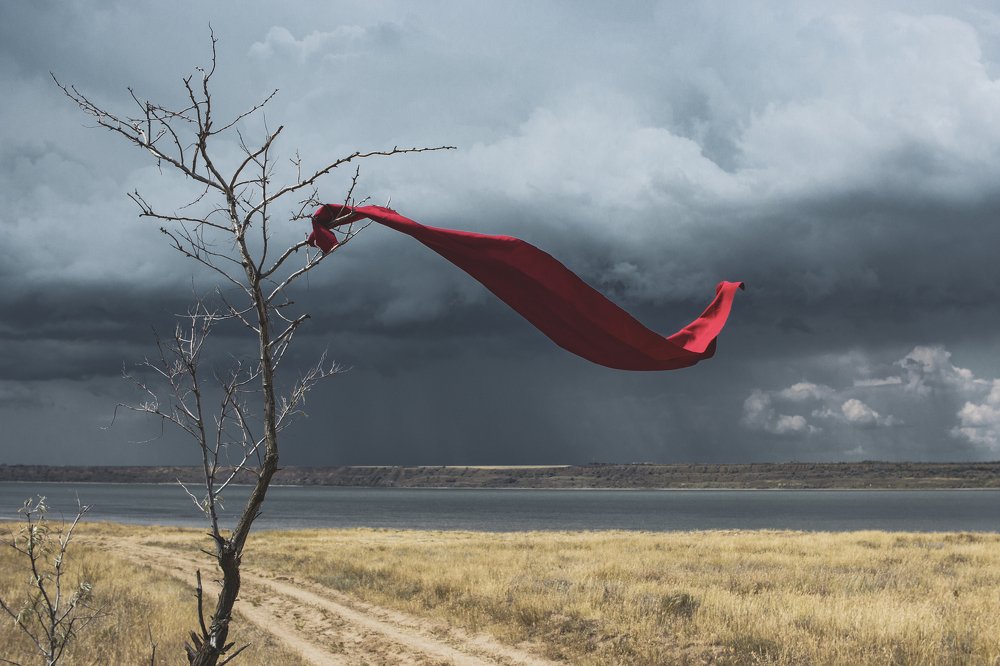 Фотография автора Dmitriy Zhuravlev