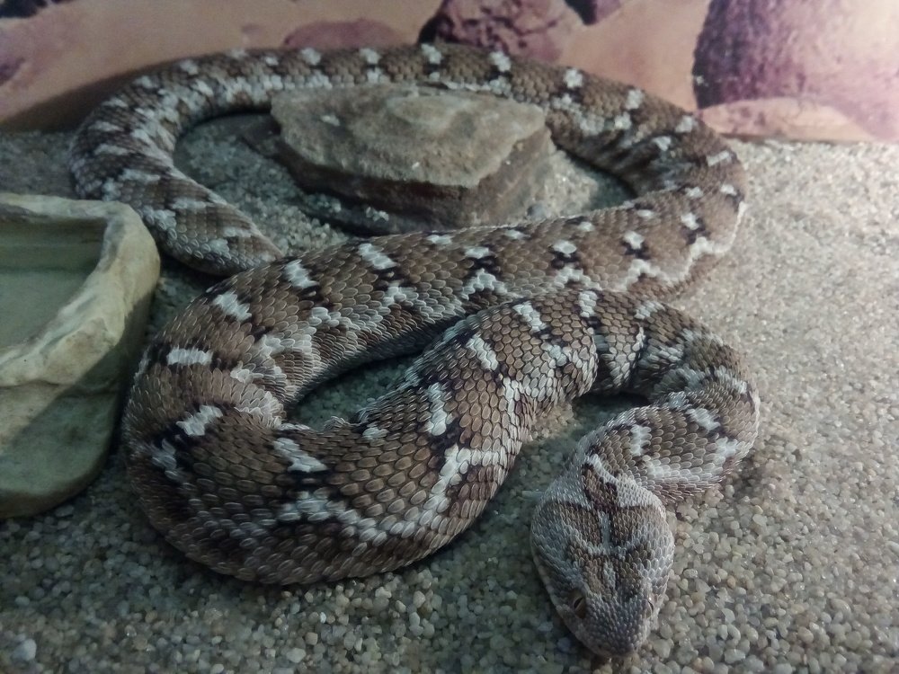 Photo #4038690