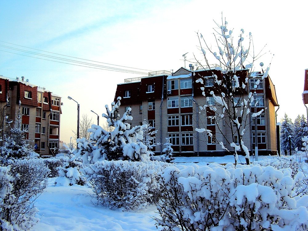 Photograph by Галина Гончарова