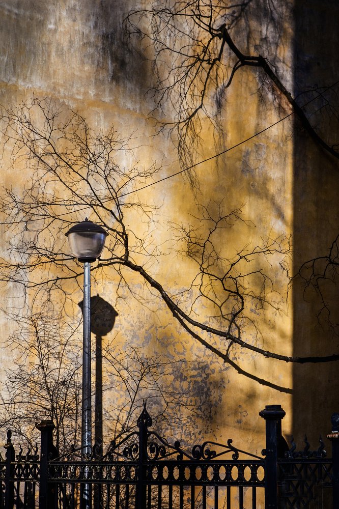 Photograph by Ольга Акимичева