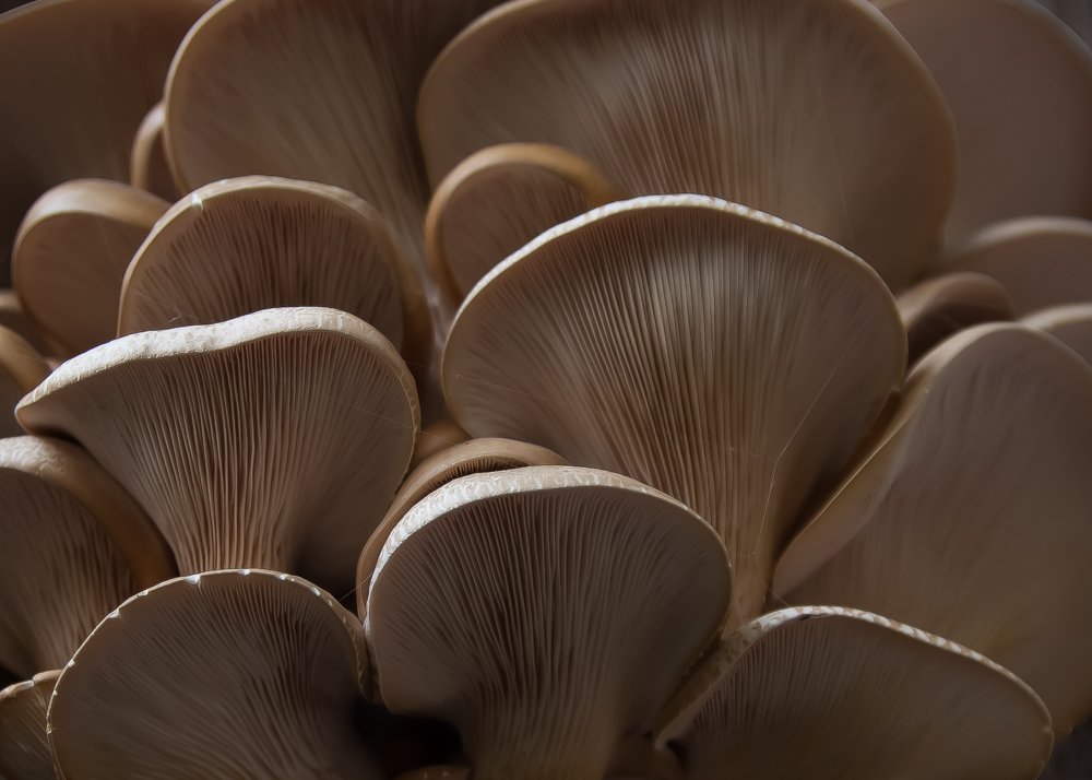 Photograph by hakan kazan