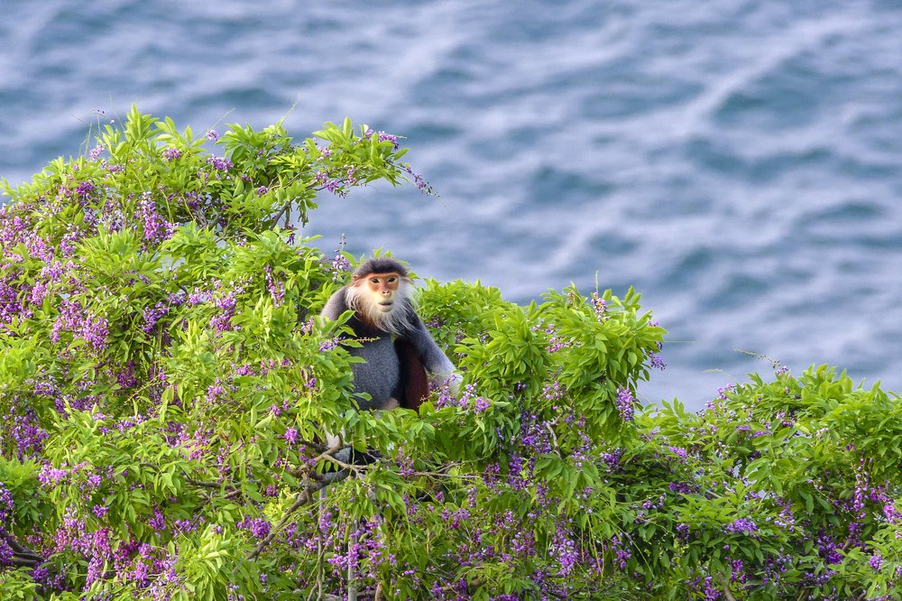 Photograph by Dang Khiem Pham