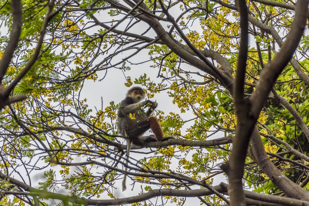 Photograph by Dang Khiem Pham