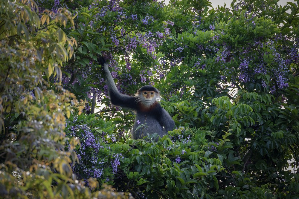 Photograph by Dang Khiem Pham